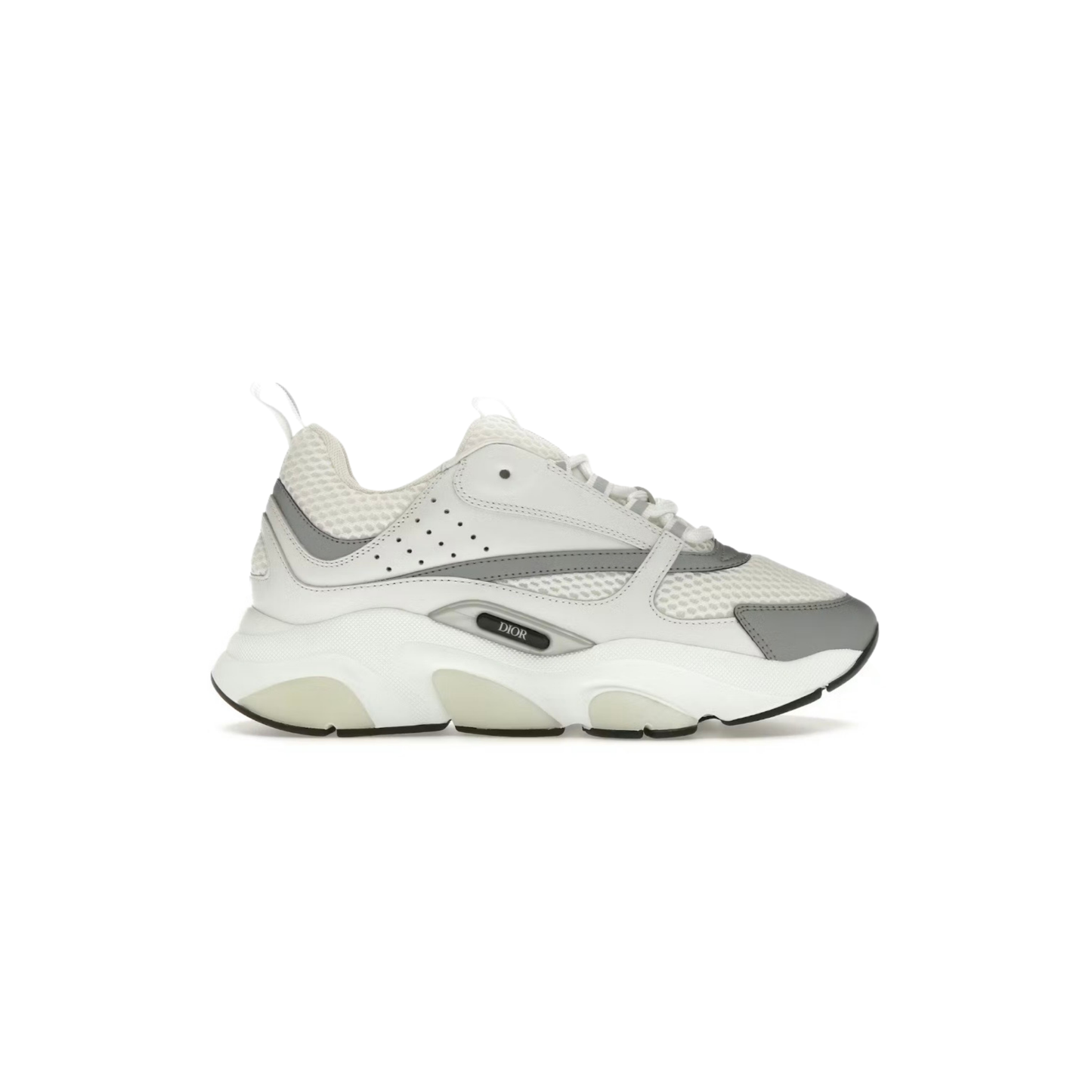 Dior B22 White & Grey