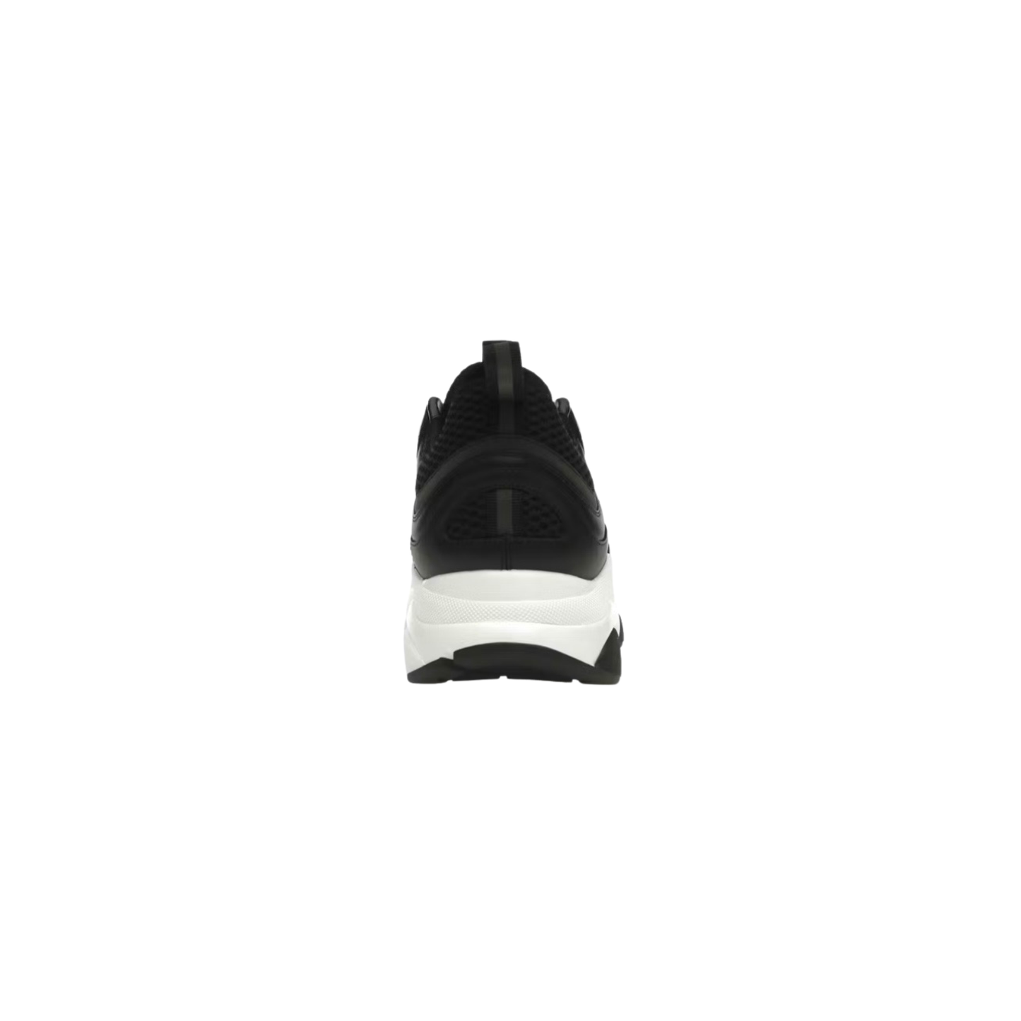 Dior B22 Black & White