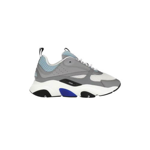 Dior B22 Grey & Blue