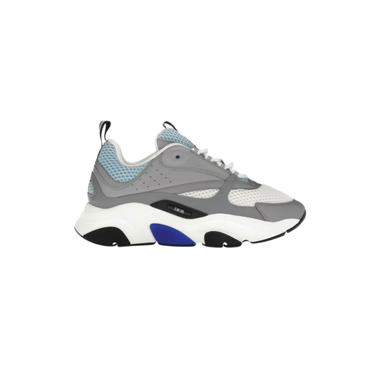 Dior B22 Grey & Blue