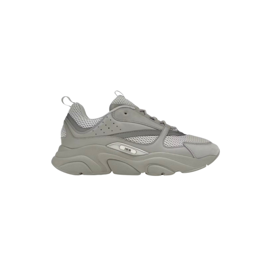 Dior B22 Light Grey & Silver