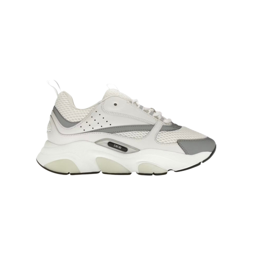 Dior B22 White & Grey
