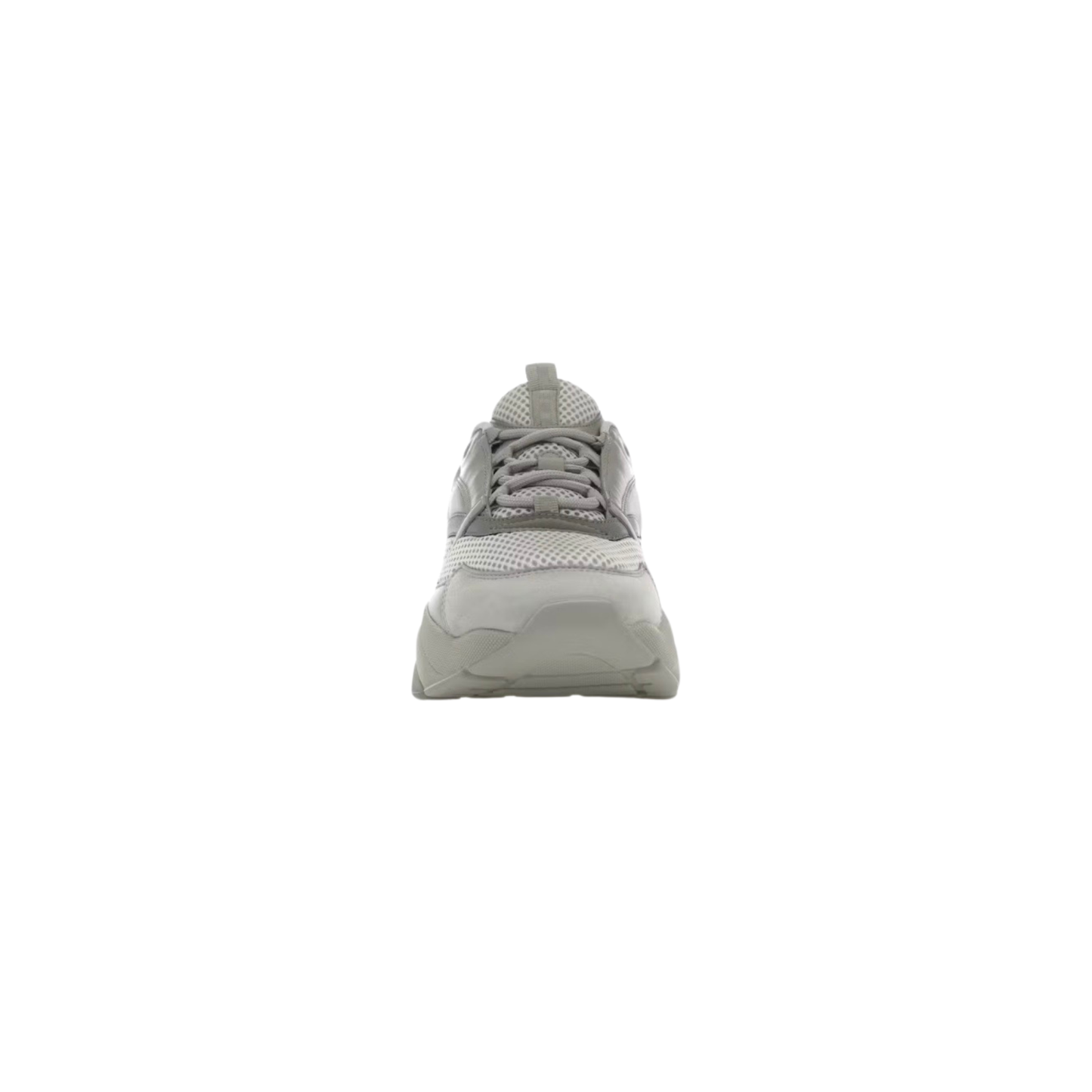 Dior B22 Light Grey & Silver